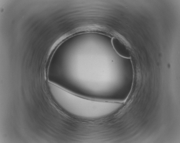 X0000080761226200612150926