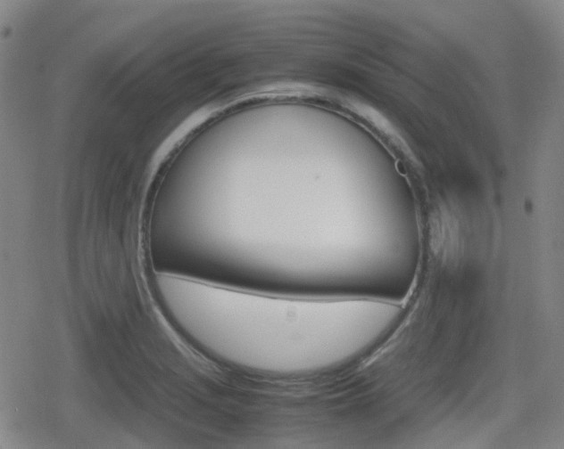 X0000080761229200612150926