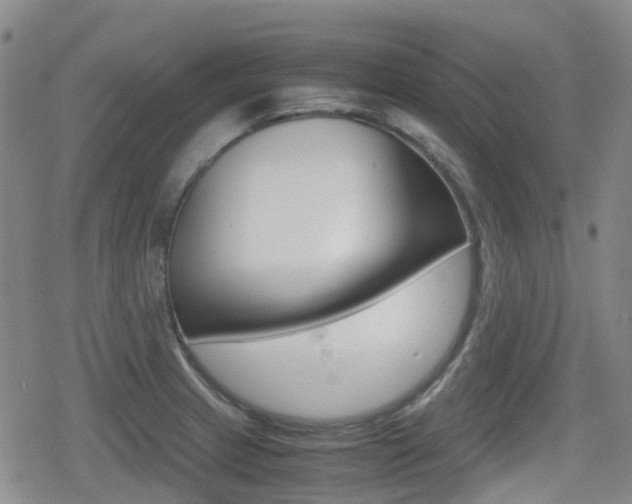 X0000080761233200612150926