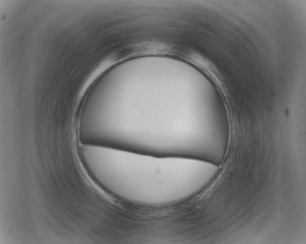 X0000080761235200612150926