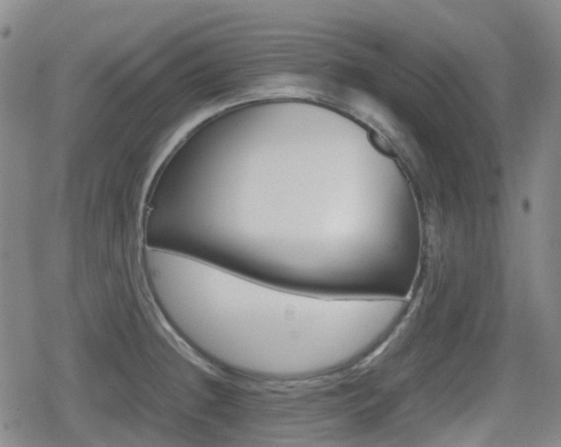 X0000080761236200612150926