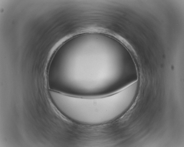 X0000080761238200612150926