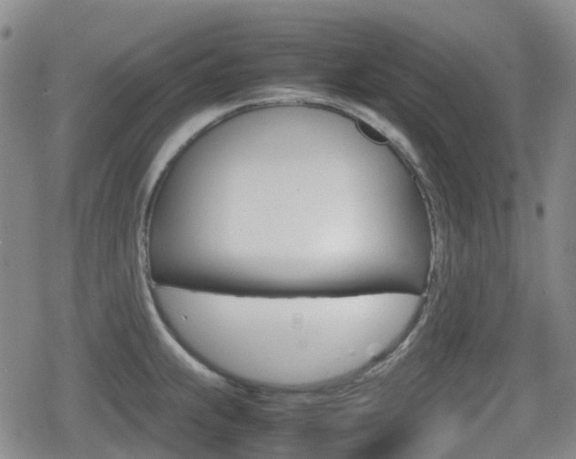 X0000080761239200612150926