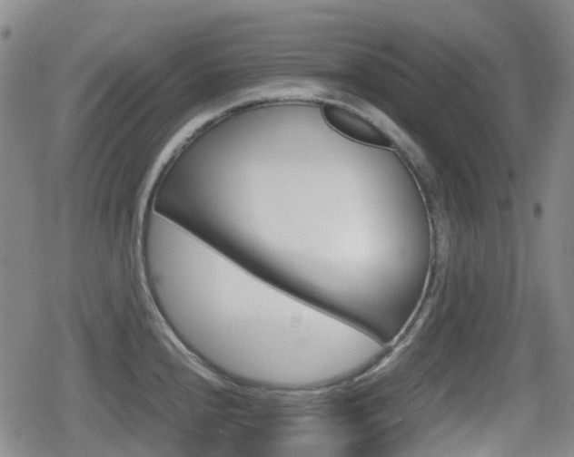 X0000080761240200612150926