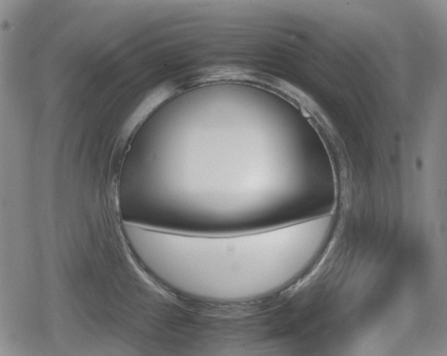 X0000080761241200612150926
