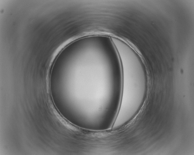 X0000080761246200612150926