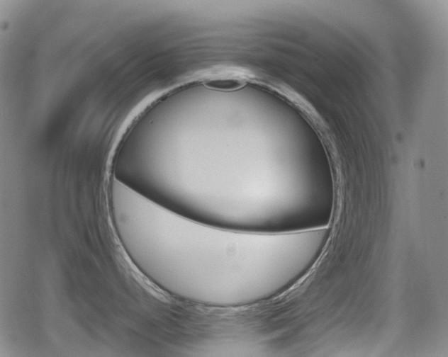 X0000080761248200612150926