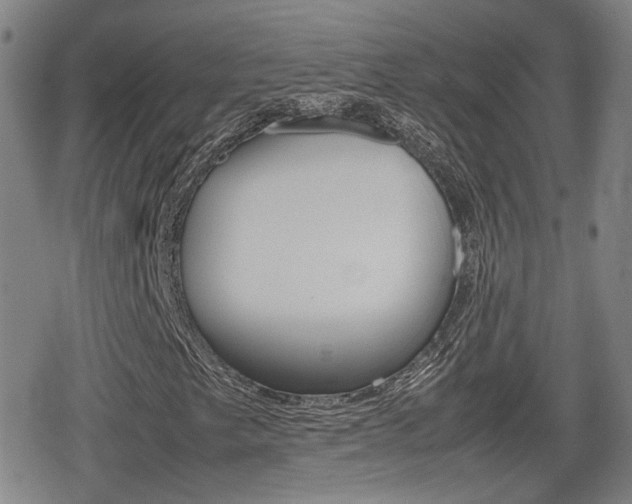 X0000080761249200612150925