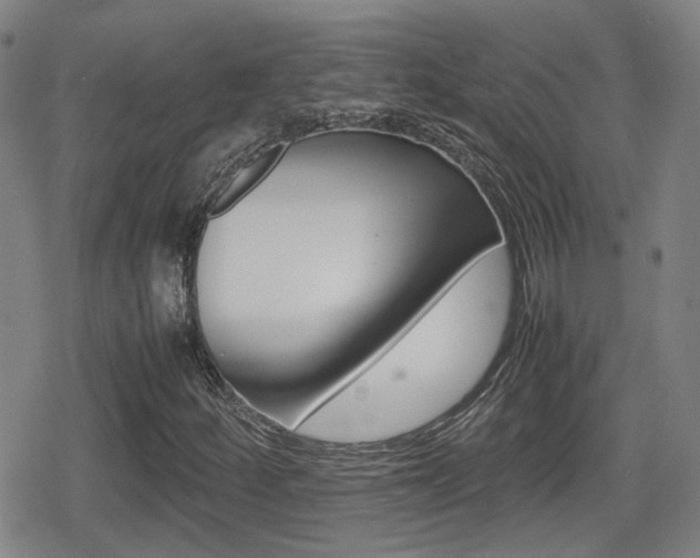X0000080761252200612150925