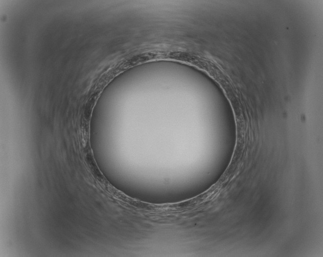 X0000080761253200612150925