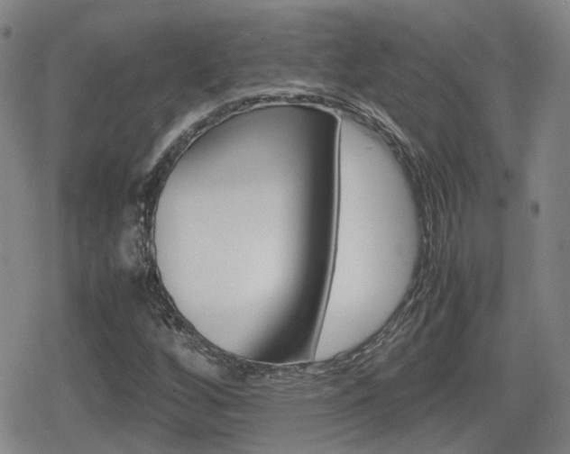 X0000080761256200612150925