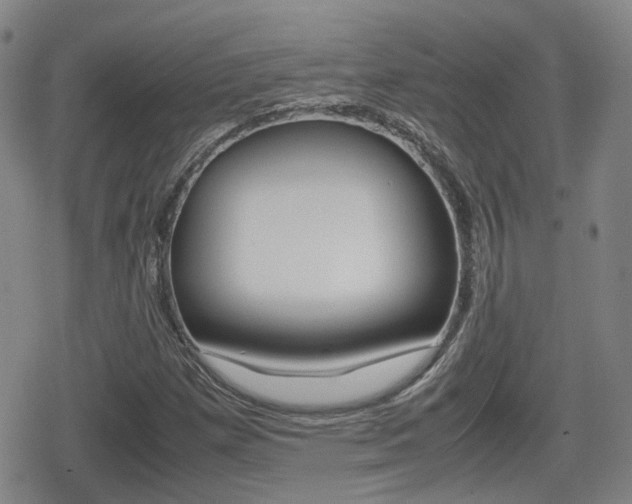 X0000080761257200612150925