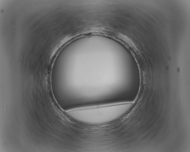 X0000080761260200612150925