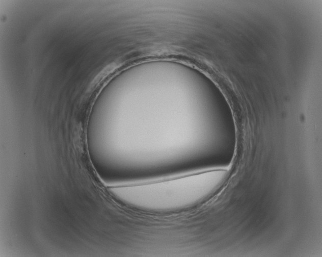 X0000080761265200612150925