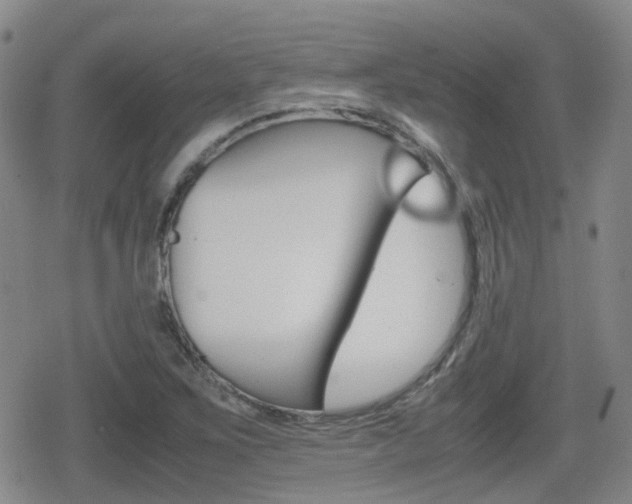 X0000080761267200612150925