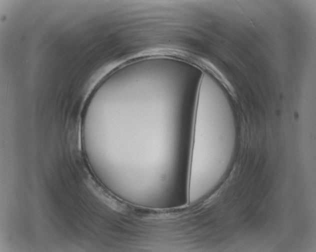 X0000080761276200612150925