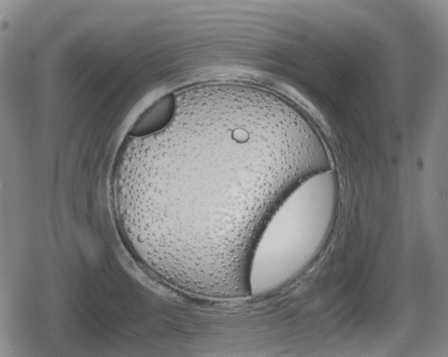 X0000080761283200612150925