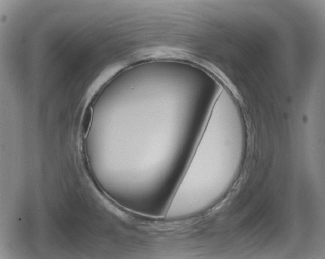 X0000080761285200612150925