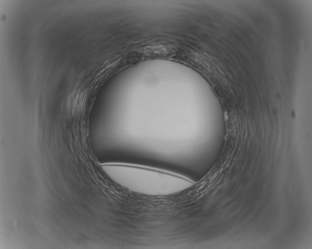 X0000080761297200612150924