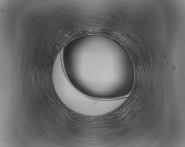 X0000080761298200612150924