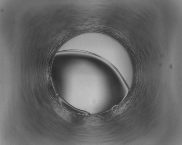 X0000080761300200612150924