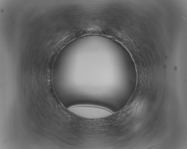 X0000080761301200612150924