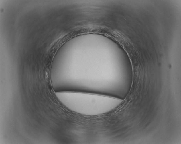X0000080761302200612150924