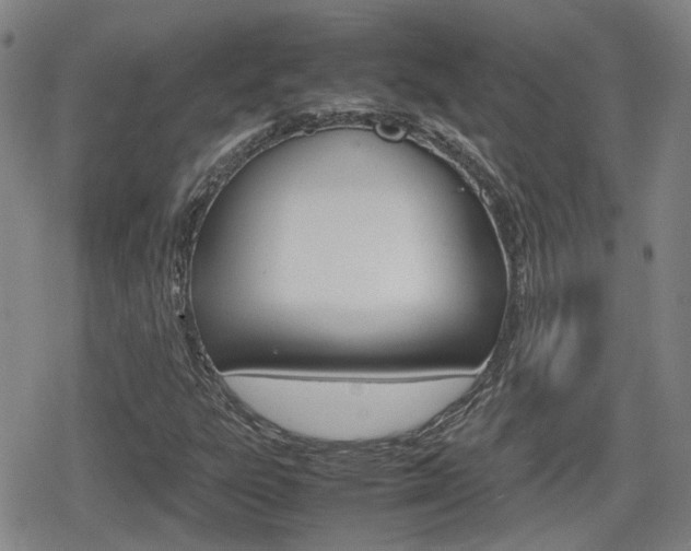 X0000080761303200612150924