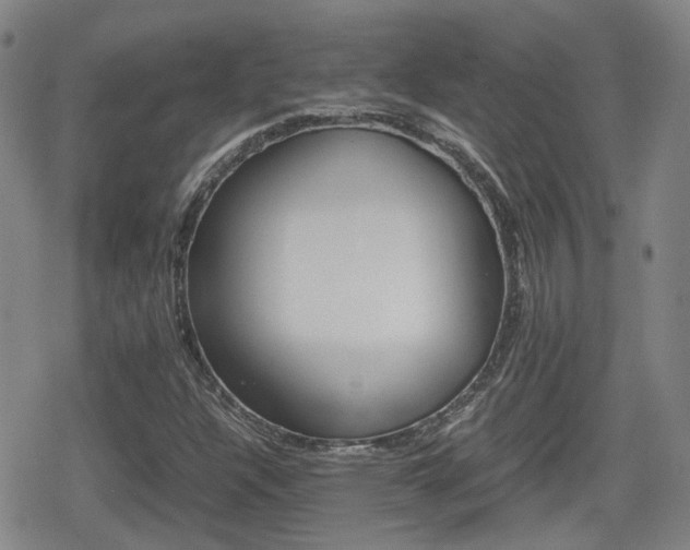 X0000080761304200612150924