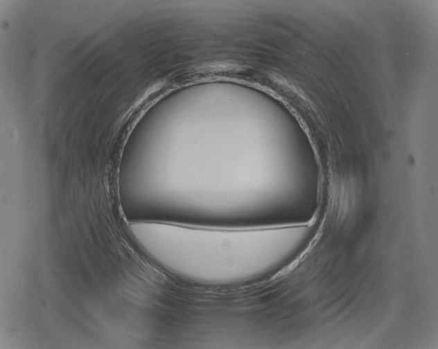 X0000080761305200612150924
