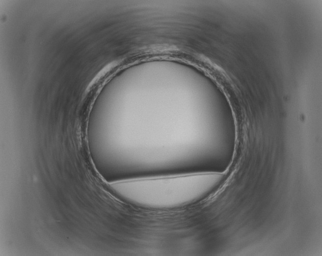 X0000080761306200612150924