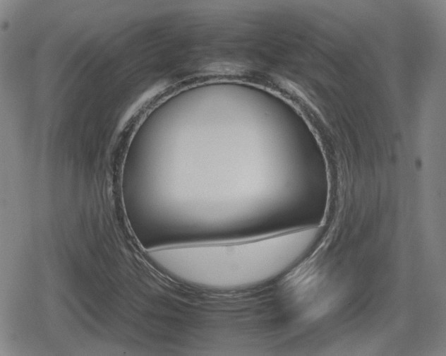 X0000080761307200612150924