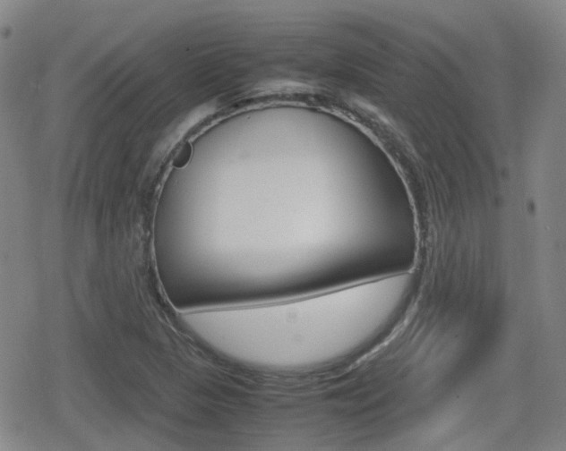 X0000080761313200612150924
