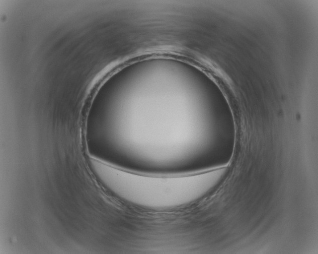X0000080761316200612150924