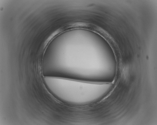 X0000080761321200612150924