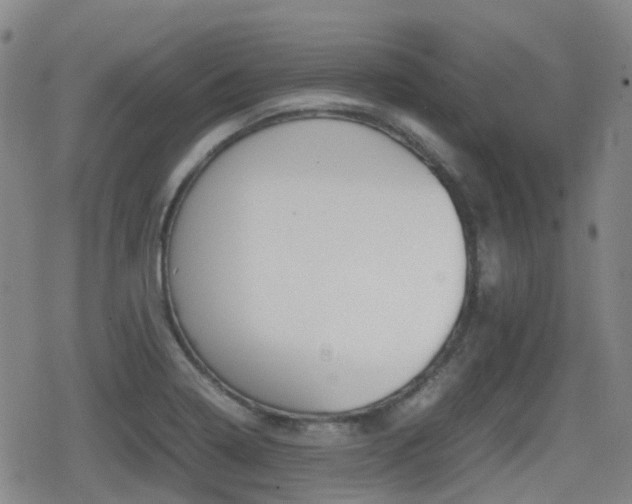 X0000080761322200612150924