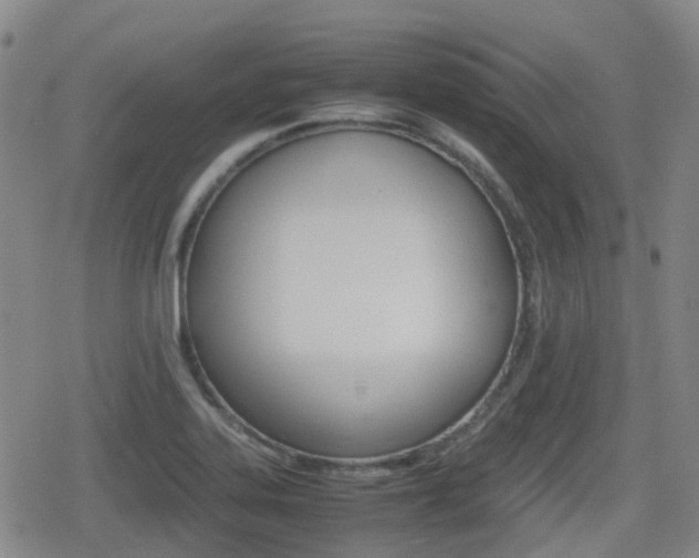 X0000080761323200612150924