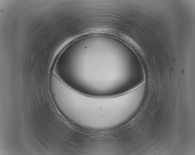 X0000080761324200612150924