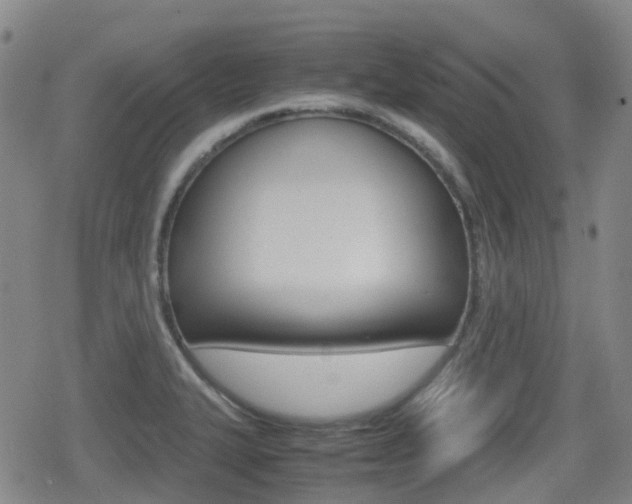 X0000080761327200612150924