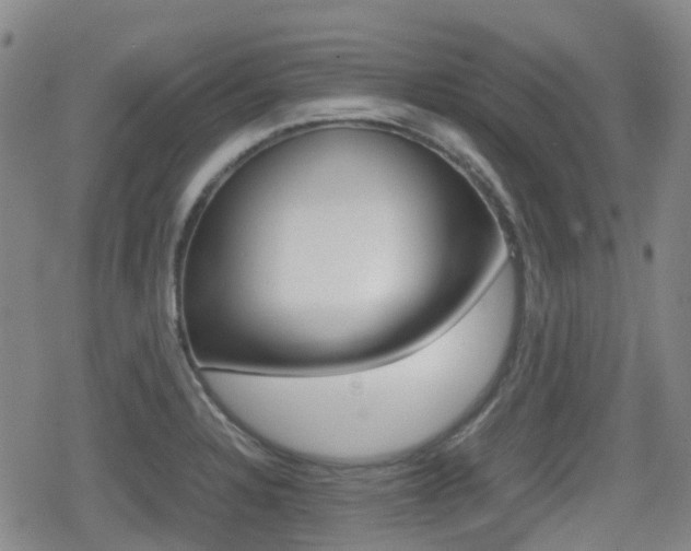 X0000080761328200612150924