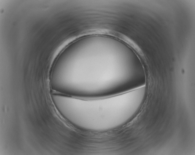 X0000080761332200612150924