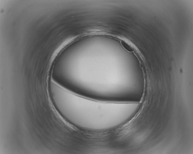 X0000080761333200612150924