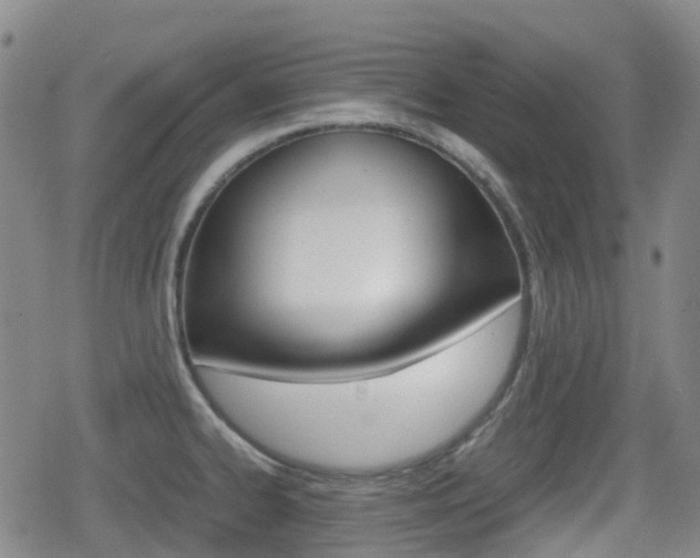 X0000080761334200612150924