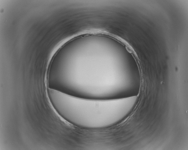 X0000080761343200612150924