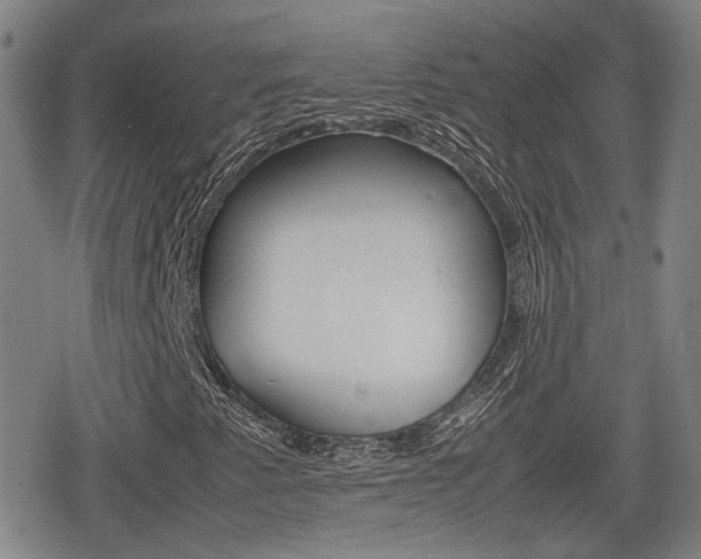 X0000080761345200612150924