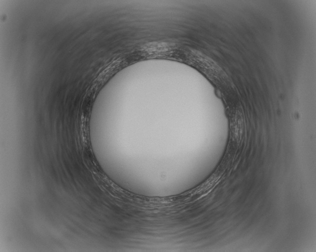 X0000080761346200612150924