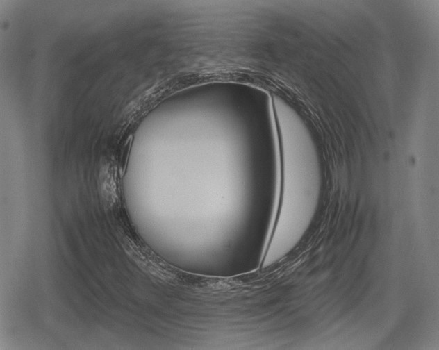 X0000080761348200612150923