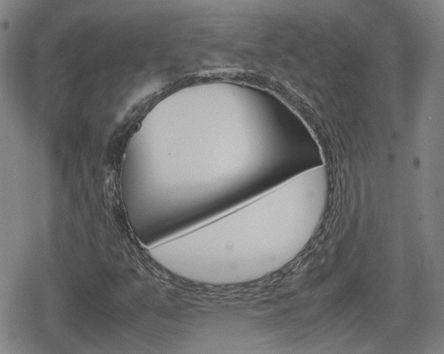 X0000080761351200612150923