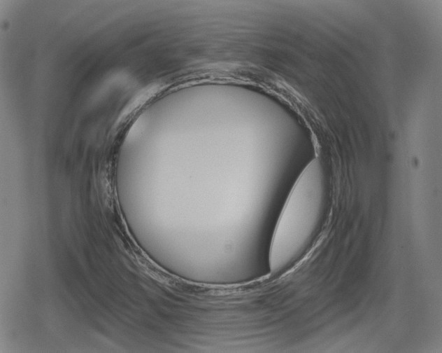 X0000080761354200612150923