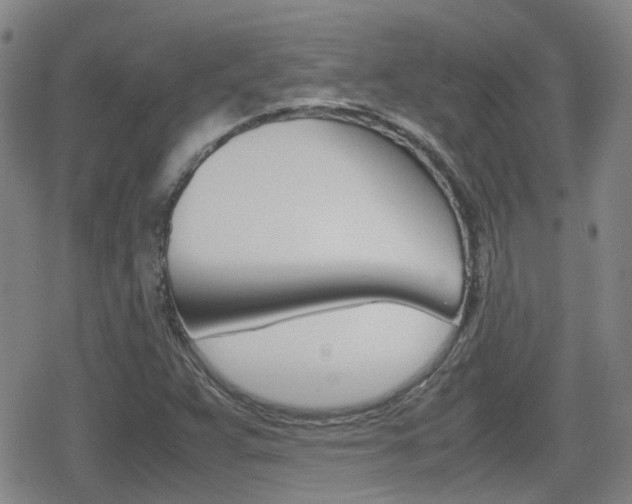 X0000080761359200612150923